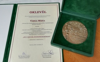 Sárvár Város Önkormányzatának elismerése