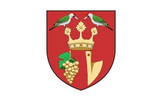 Dr. Saly László Közösségi Ház